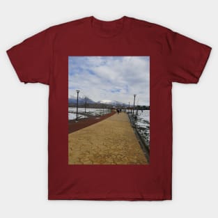 Snowy day in the park T-Shirt